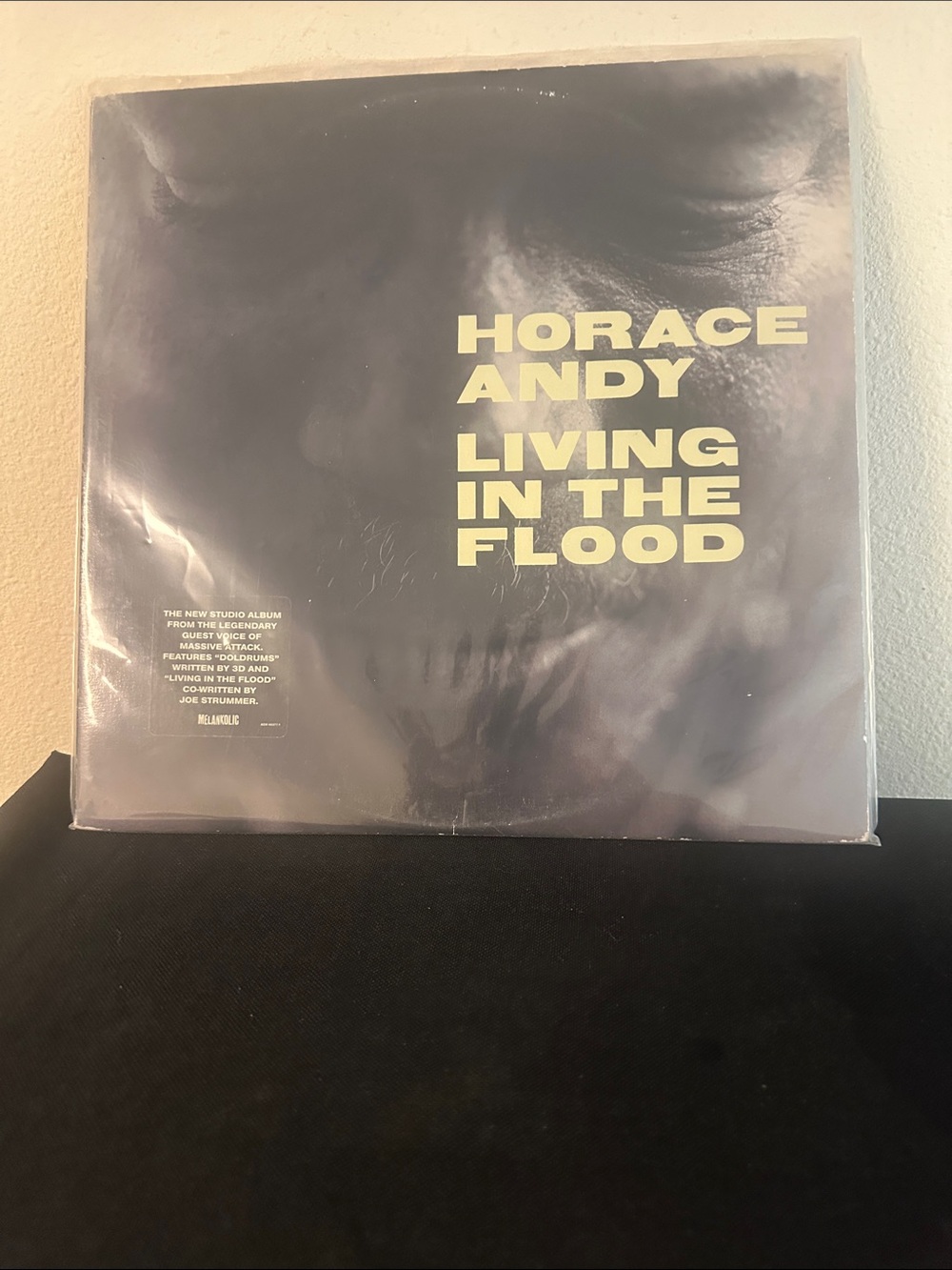 Horace Andy "Living in the Flood" Vinyl LP - Yellow Text on Black Cover
